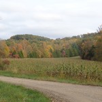 Autumn-in-Indiana-2